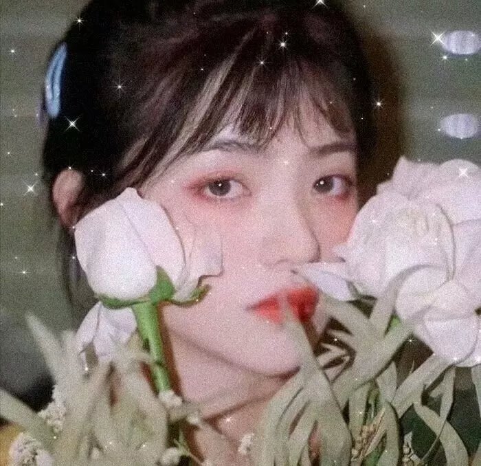 大唐歌飞